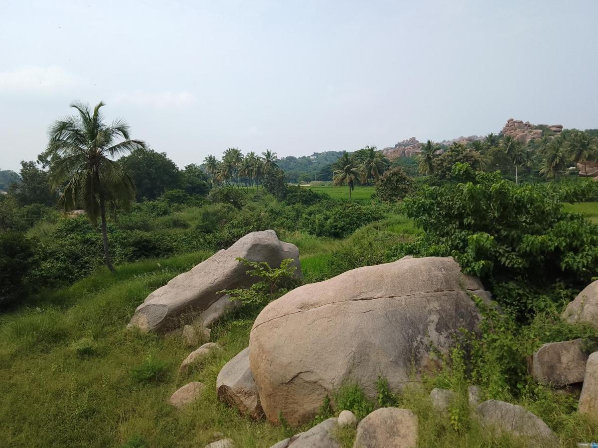 Monkey Paradise Hampi Eksteriør billede
