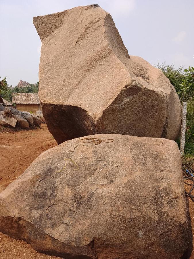 Monkey Paradise Hampi Eksteriør billede